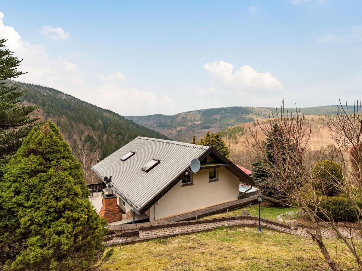 Majestic Holiday Home With Jacuzzi Unterschönau Zewnętrze zdjęcie