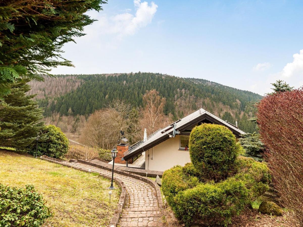 Majestic Holiday Home With Jacuzzi Unterschönau Zewnętrze zdjęcie